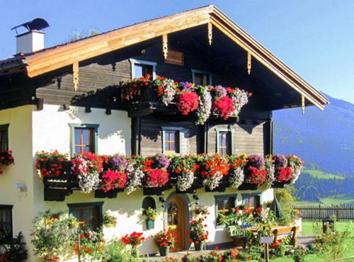  Brotzeitalm in Pfarrwerfen