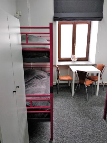 Bunk Bed in Mixed Dormitory Room