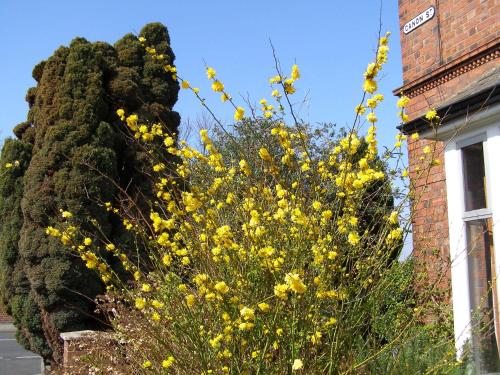 Anton Guest House Bed and Breakfast - image 11