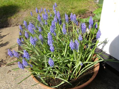 Anton Guest House Bed and Breakfast - image 2