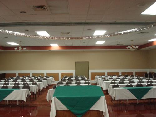 Romana Hotel - Houston Southwest - 연회장