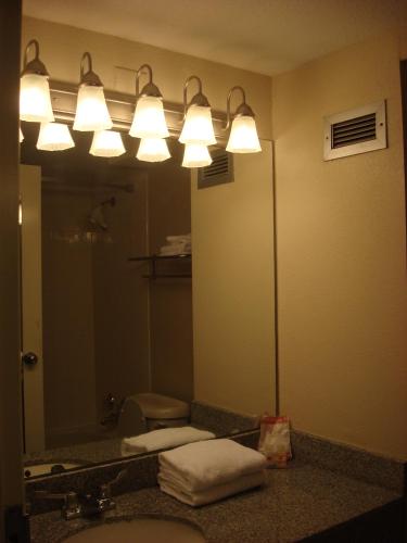 Romana Hotel - Houston Southwest - 화장실