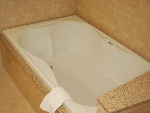 Bavarian Inn Lodge - image 17