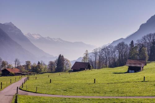 Hotel Meielisalp - main image