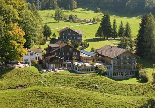 Hotel Meielisalp - image 7