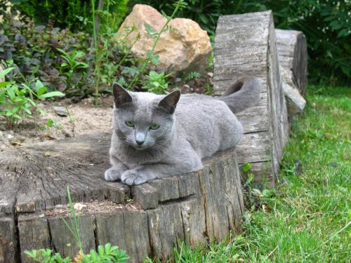 Pensjonat B&B Nad Rudawą - image 5