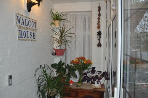 Walcot House - image 7