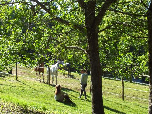 Сад, Les Grillons du Morvan in Montsauche-les-Settons
