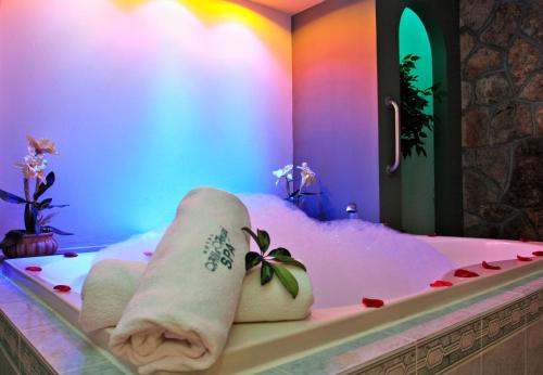 บริการและสิ่งอำนวยความสะดวก, Hotel & Spa Villa Vergel in อิกซ์ตาปัน เดลา ซาล