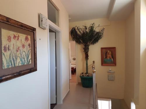 Faciliteiten, Hostel Beko in Jadar