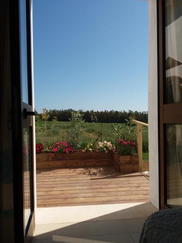 B&B Briosa 5