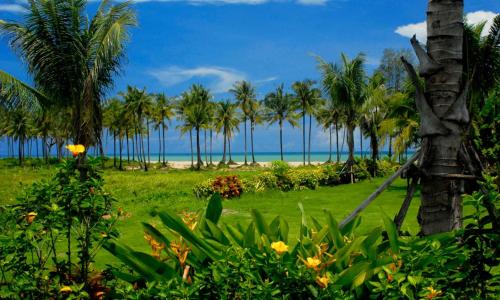 Garden, Andamania Beach Resort, Khaolak in Khuk Khak Beach