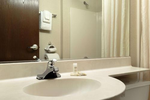 Microtel Inn & Suites by Wyndham Bloomington/Minneapolis - image 3