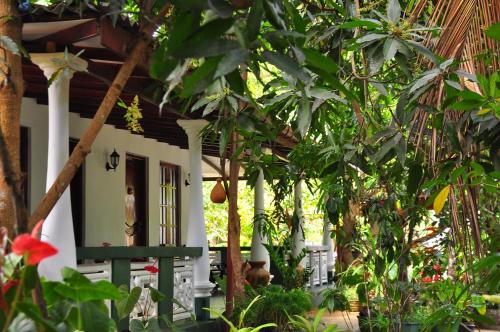 B&B Sigiriya - Sigiri Rock Side Home Stay - Bed and Breakfast Sigiriya