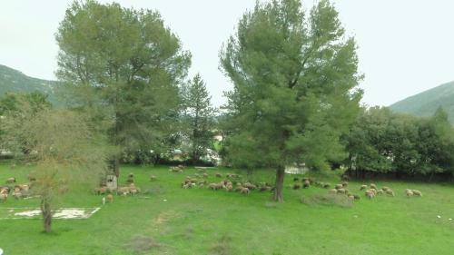 Gite Saint CLAIR - Escapade à Signes (Gite Saint CLAIR - Escapade a Signes) in Син