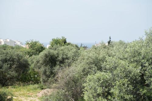 Relax in a Cozy flat near famous beaches of Chania