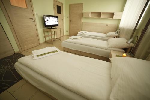 Standard Delegacyjny Bed & Breakfast - image 8