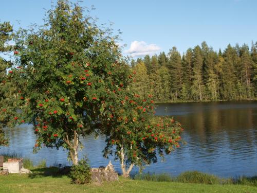 Loma-Rantala Cottages