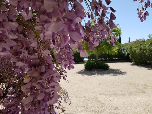 La Pastorale – Lagnes