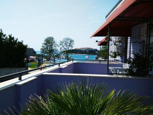 Studio with Terrace