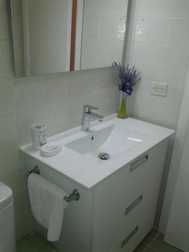 Apartamento PuigVal