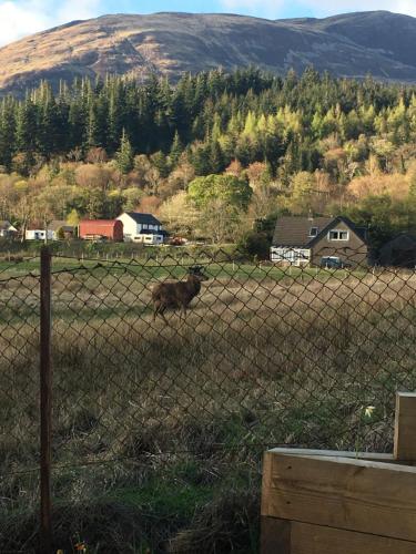外部景觀, Cosy Cottage in 格蘭克