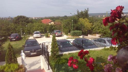 夏季别墅酒店 夏季别墅酒店