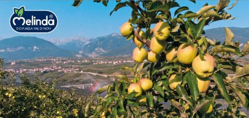 Casa vacanze Piè di Castello