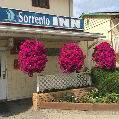 Accommodation in Sorrento