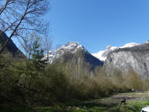 Les Lys Orangés