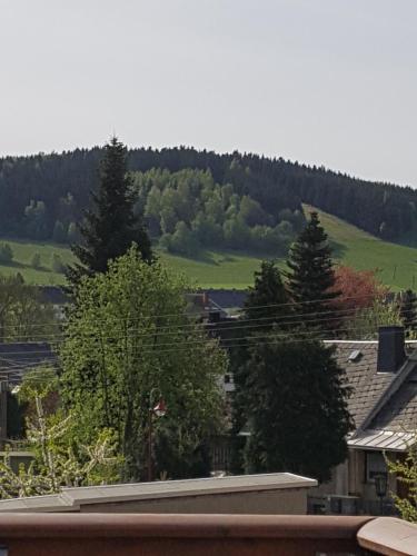 Ferienwohnung Familie Meißner ruhig, gemutlich und kinderfreundlich in Crottendorf