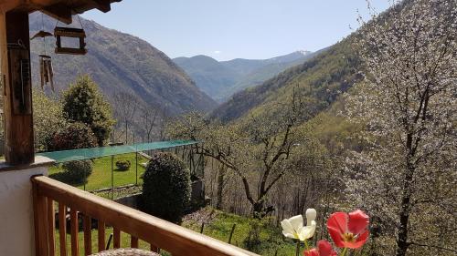 Balkons/terase, Monte Riga in Cursolo-Orasso