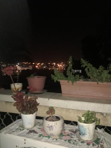 The park and the Lake in 貝爾謝巴