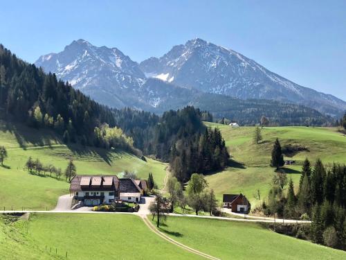 Ferienhof Hintergrabenbauer, Pension in Spital am Pyhrn