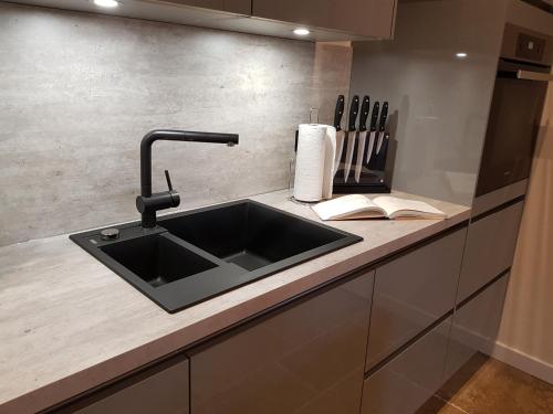 De Friesenjung Nordsee in 日松林