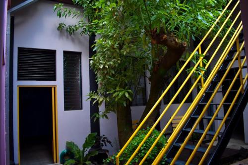 حديقة, Hostal Sole in Santa Ana