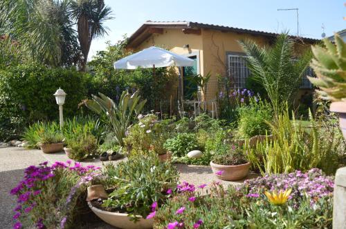 Le Cicale gîte à louer Casal Palocco