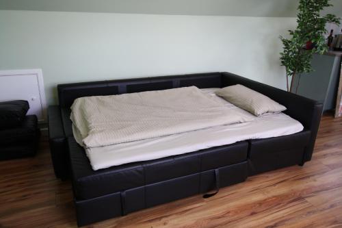 1 king bed, 1 sofa bed