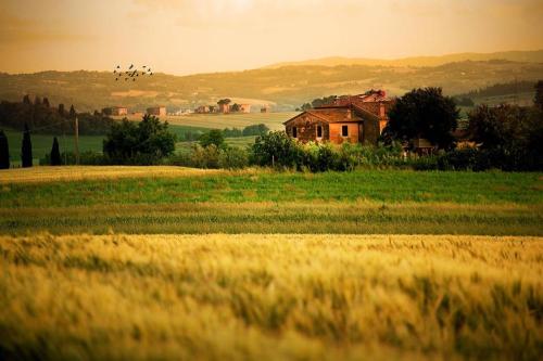  Poggio Mille in Castiglione del Lago