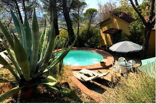  La Querciolina in Arezzo