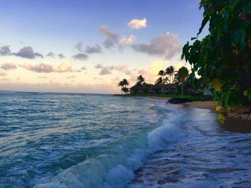 Kahana Reef 422 - image 2