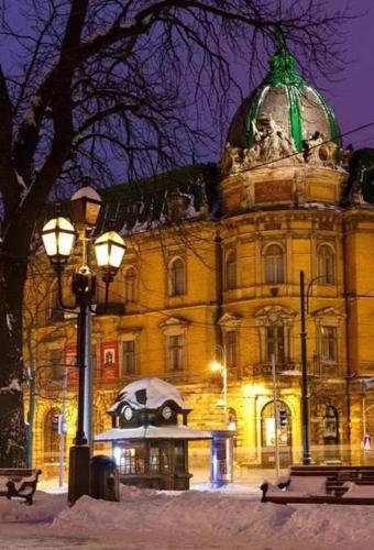 Vera apartment in the ♥of lviv