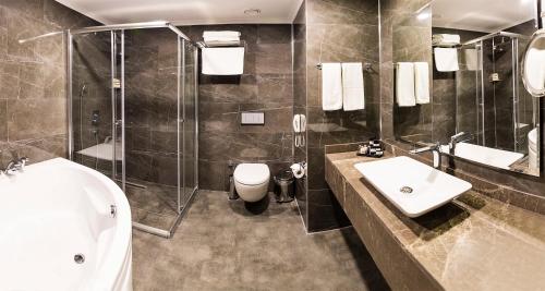 Premier Inn Sakarya Room Type - Presidential Suite