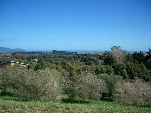 Apartment 45 @ Noble Estate in Waikanae