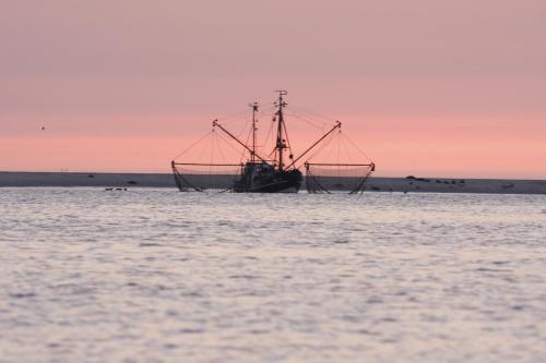 BORKUMUNTERKUNFT - WOH2 - IM HERZEN DER INSEL - image 14