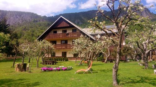 Apartments Arh in Bohinji-tó