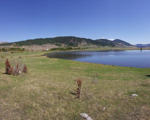 Apartmani Bozovic - image 5