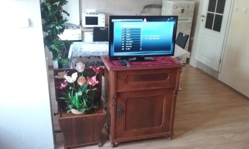 Apartment Villa Venezia - image 2