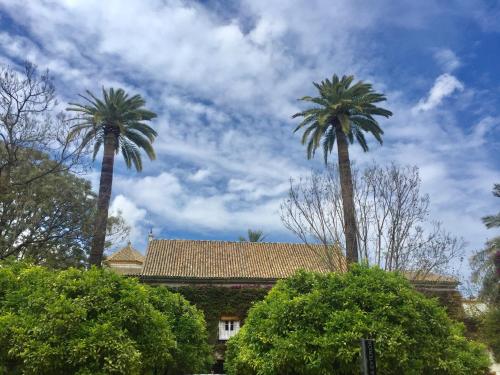 Apartamento doña María Coronel Sevilla, Sevilla (Foto 8)