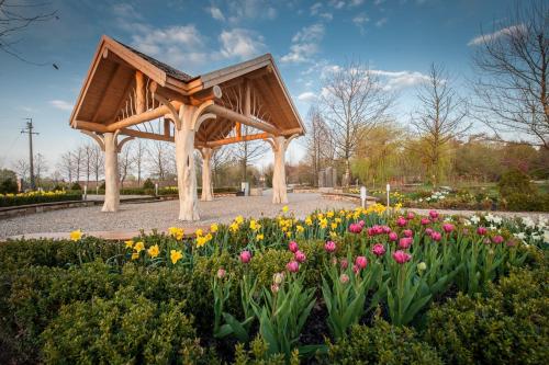 Siedem Drzew - image 7